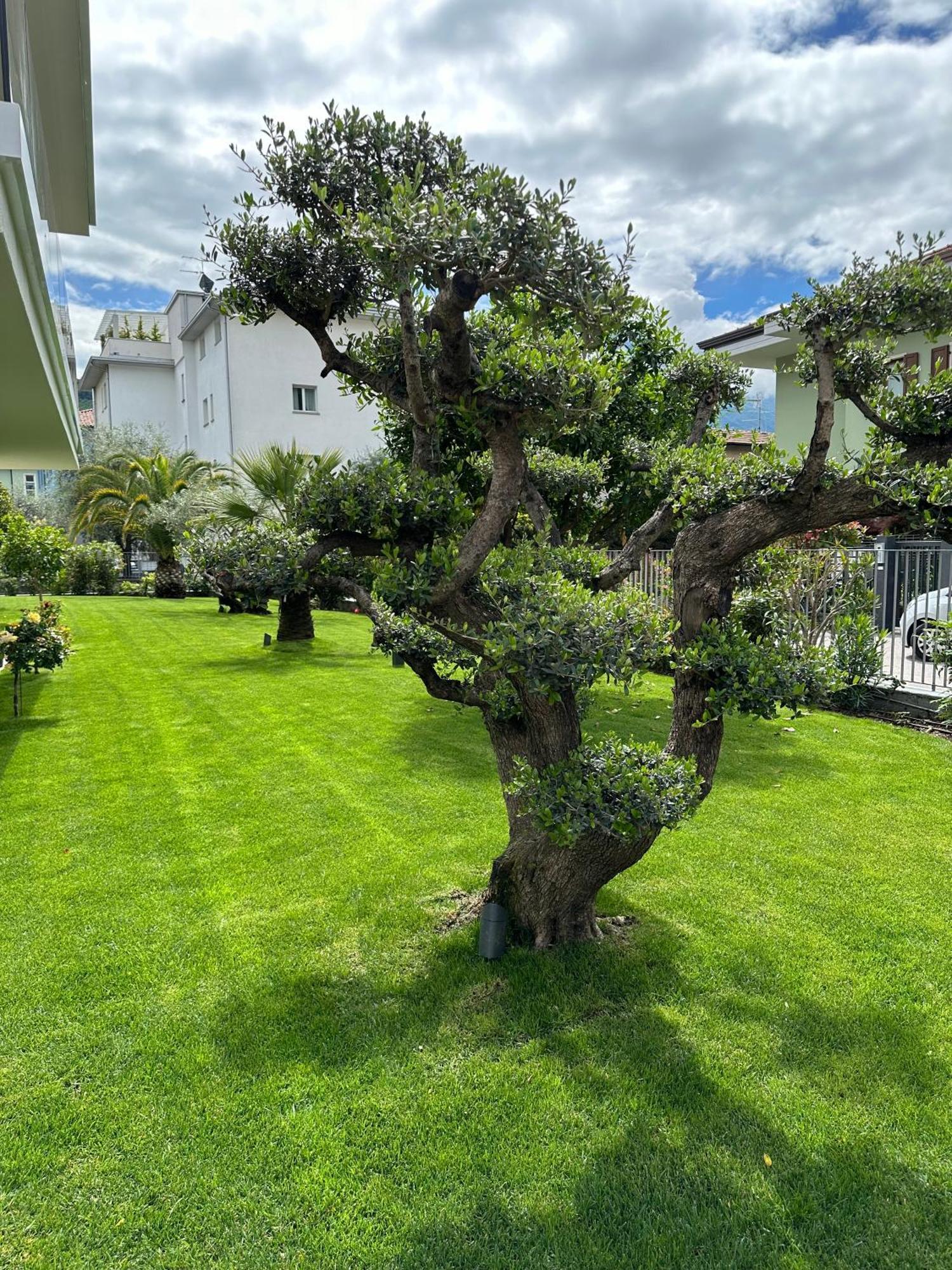 Dalila - Dalila Appartement